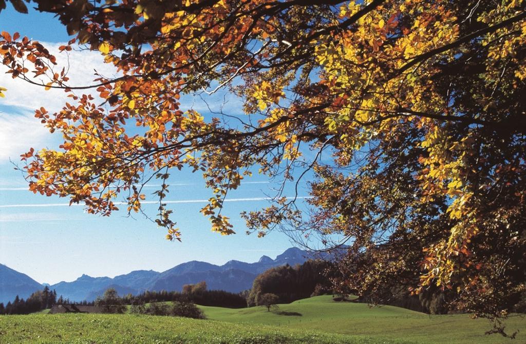 Haus Gruber Hotell Attersee Exteriör bild