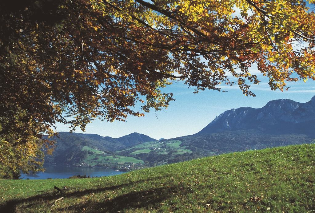 Haus Gruber Hotell Attersee Exteriör bild