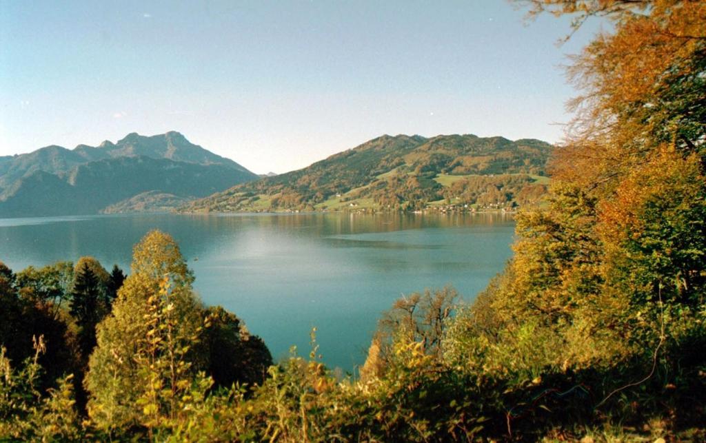 Haus Gruber Hotell Attersee Exteriör bild